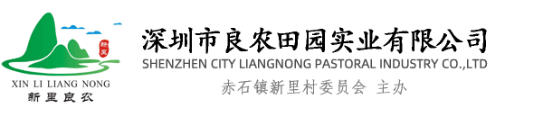 �����logo